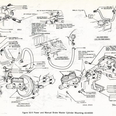 Standard Nuts Shown